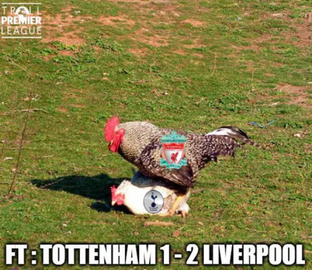 离40+三双仅差1板！拉拉维亚社媒调侃东契奇：你再抢个板啊（东契奇距40+三双只差1板！拉拉维亚社媒打趣：再抢一个啊）